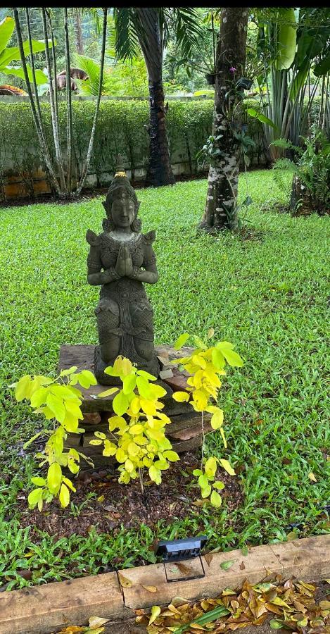 B&B Forest Hill Khao Yai Noen Hom Eksteriør billede