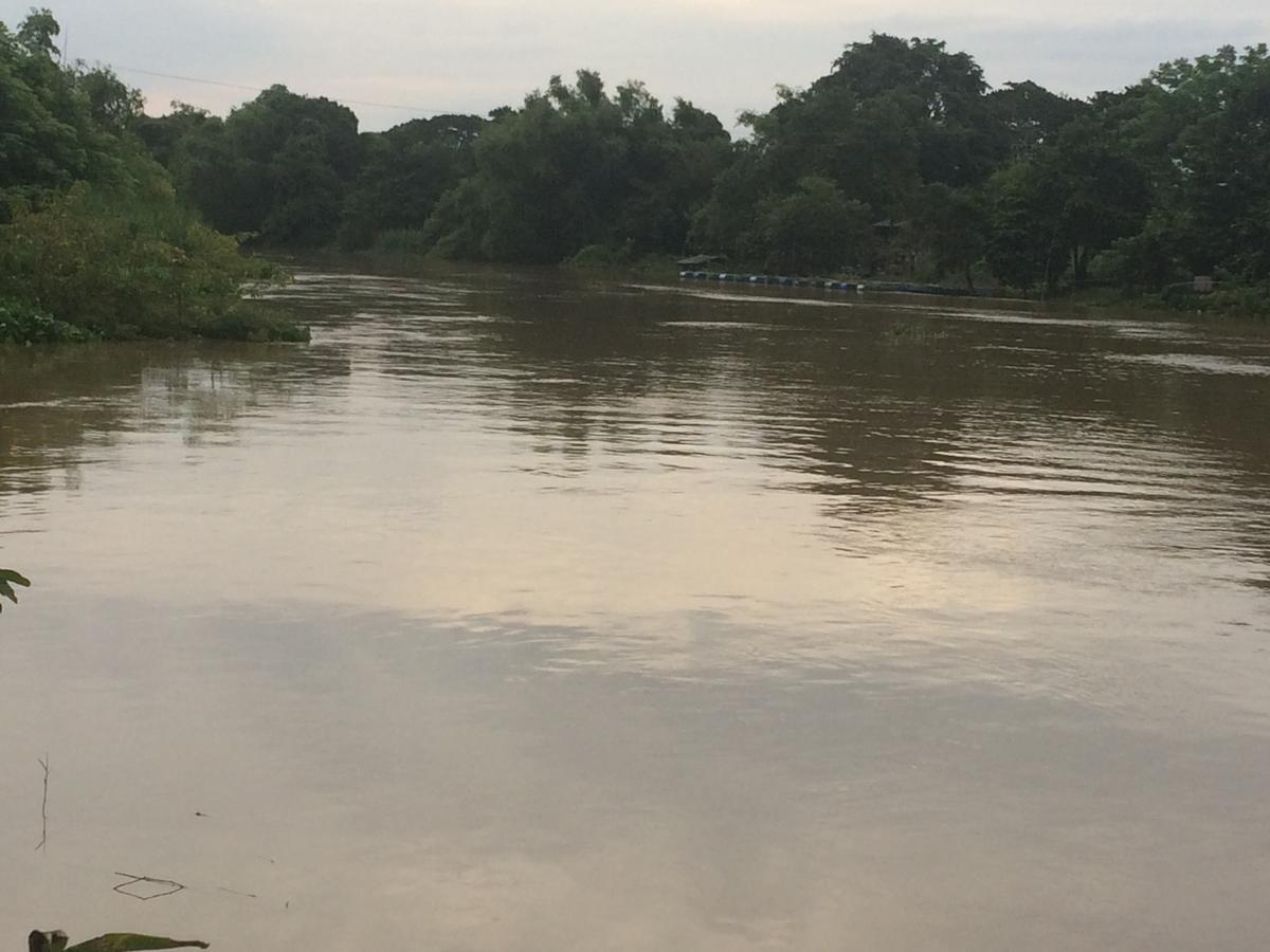 B&B Forest Hill Khao Yai Noen Hom Eksteriør billede